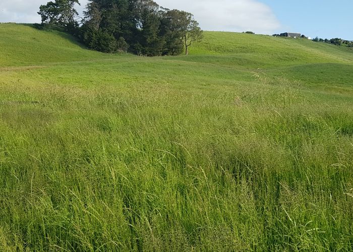  at 88 Heatherlea Drive, Whangarei