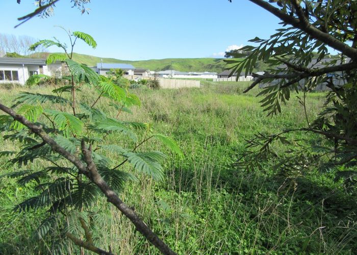  at 38 Hamilton Drive, Wainui, Gisborne