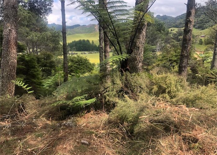  at 205 Kaimarama Road, Kaimarama, Whitianga