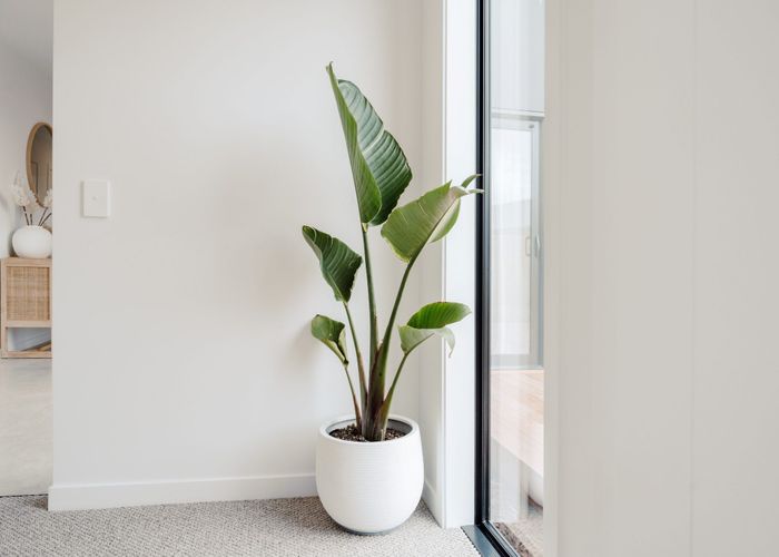  at Lot 6 /130 Hastings Road, Pyes Pa, Tauranga, Bay Of Plenty