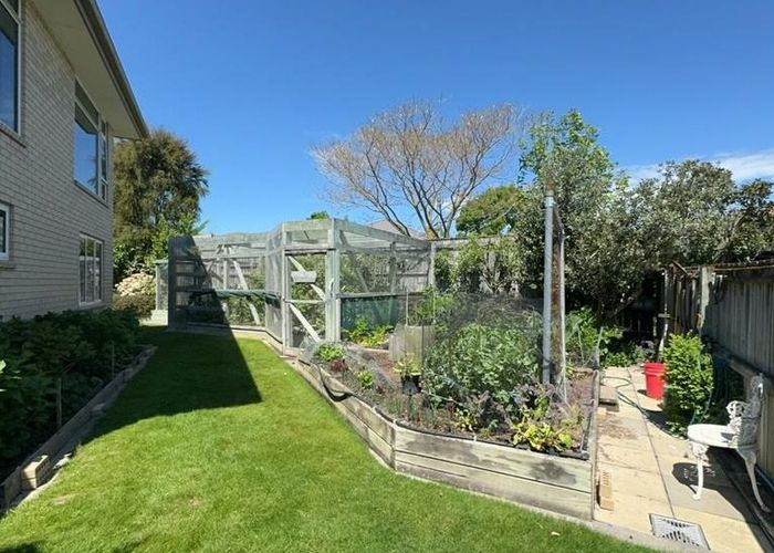  at 9A Lester Place, Blenheim Central, Blenheim, Marlborough