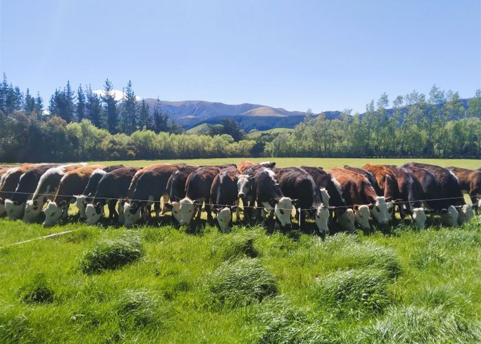  at 66 Sladdens Bush Road, Coopers Creek, Oxford