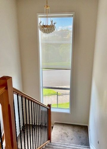  at 7 Dunkineely Road, Flat Bush, Auckland
