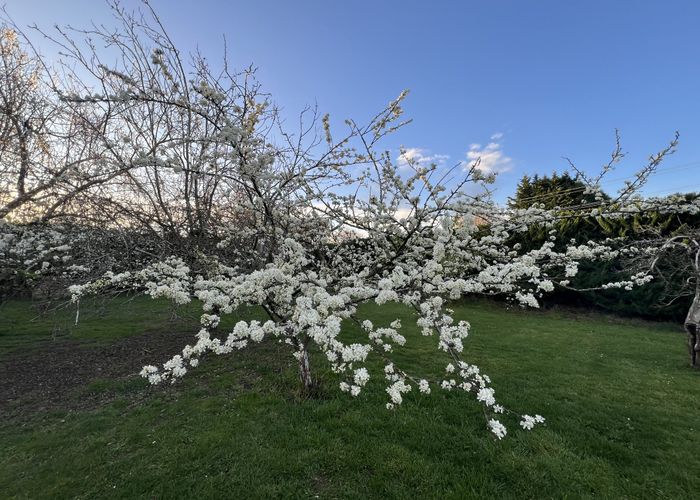  at 134 Ridge Road, Lincoln, Christchurch