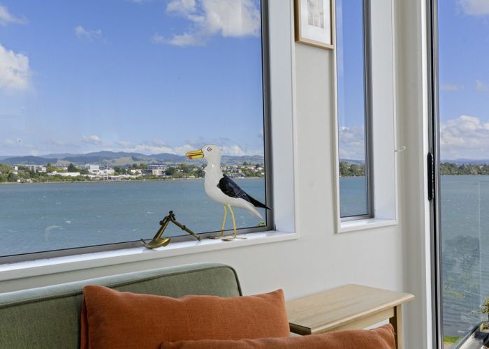  at 25 Roderick Street, Otumoetai, Tauranga, Bay Of Plenty