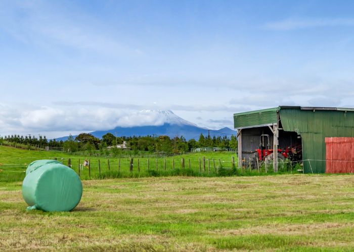  at 65 Mountain Road, Sentry Hill, New Plymouth