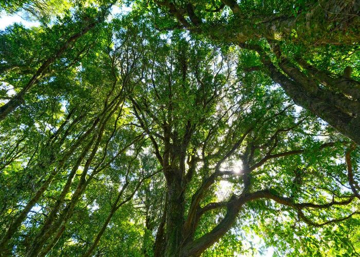  at Lot 3 Oturoa Road, Hamurana, Rotorua, Bay Of Plenty