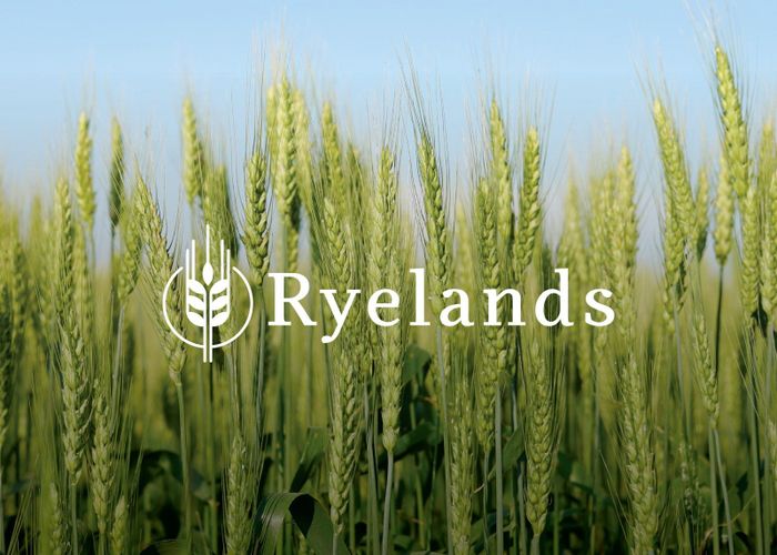  at Ryelands, Darfield, Selwyn, Canterbury