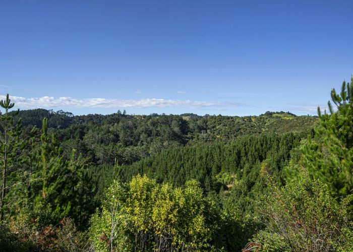  at Ahuroa Road, Puhoi, Rodney, Auckland