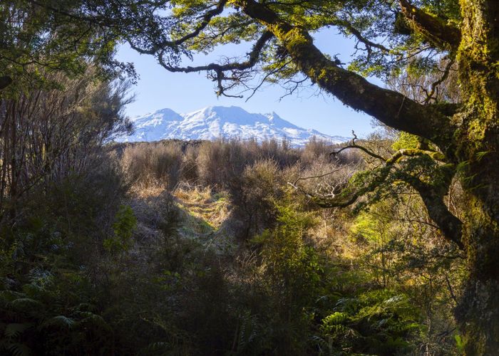  at 7 Mead Lane, Ohakune, Ruapehu, Manawatu / Whanganui