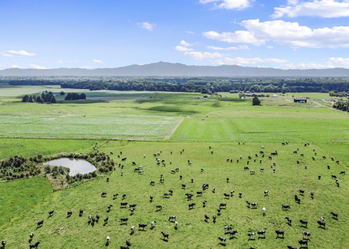 For sale 325 Taukoro Road, Morrinsville, MatamataPiako, Waikato