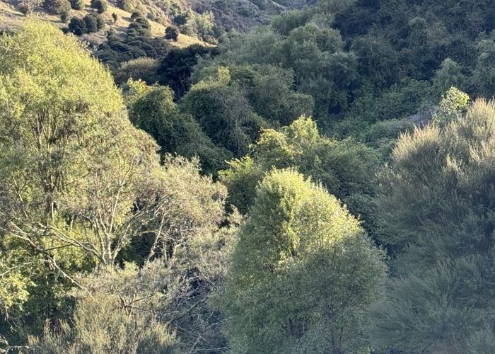  at 109ha - Le Bons Bay Road, Akaroa, Banks Peninsula, Canterbury