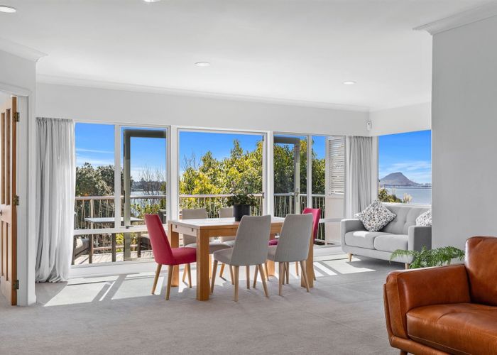  at 244 Maungatapu Road, Maungatapu, Tauranga