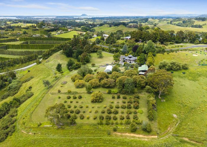  at 376 Esdaile Road, Whakamarama, Tauranga