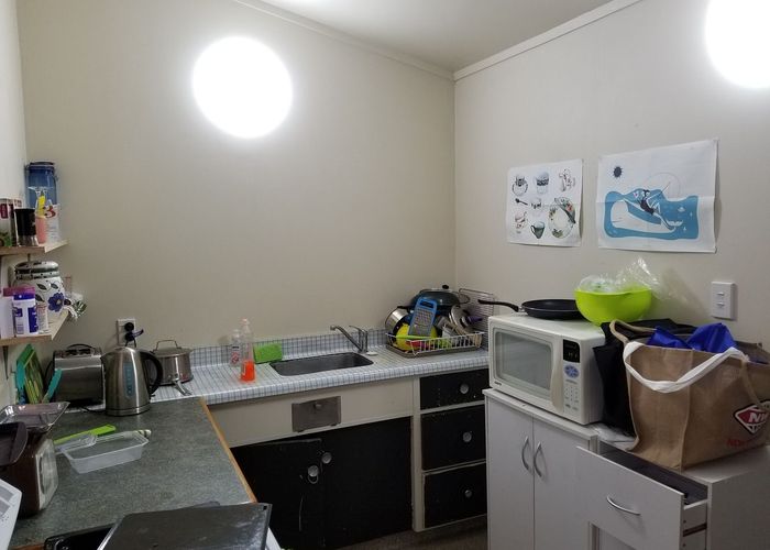  at 142 Albany Street, North Dunedin, Dunedin, Otago