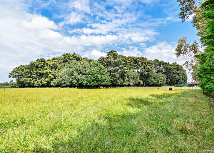  at 38 Kotuku Road, Waiuku