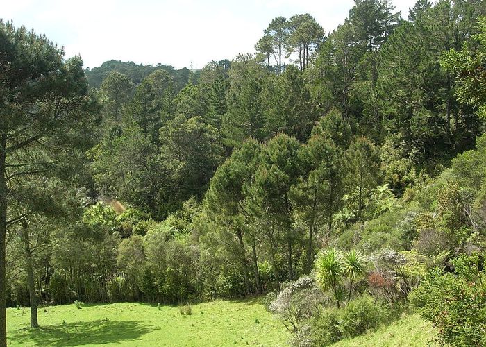  at 98 Lonely Track Rd, Albany, North Shore City, Auckland