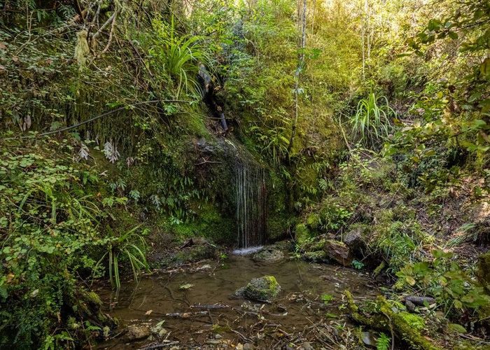  at 288 Matiri Valley Road, Matiri