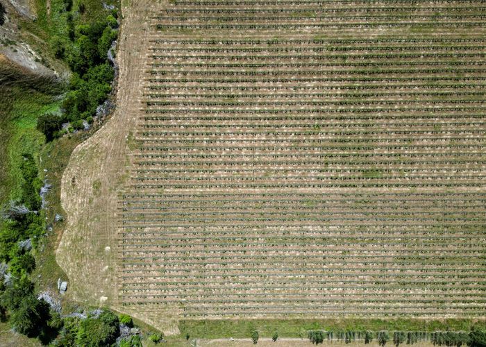 at 220 Omihi Road, Waipara, Hurunui, Canterbury