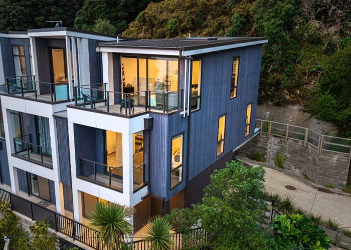  at 1C Wilkinson Street, Oriental Bay, Wellington, Wellington