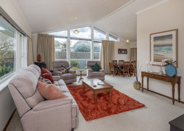  at 17 Burn Street, Levin, Levin