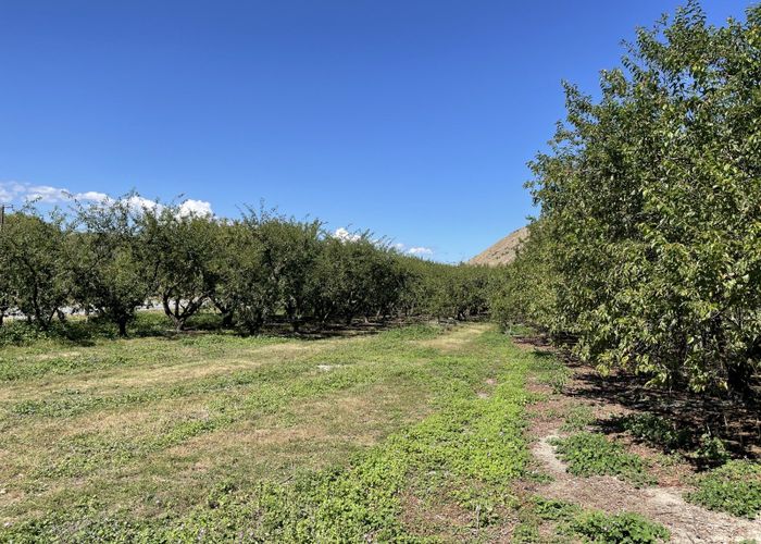  at 4.0541ha, 0 Ettrick-Raes Junction Road, Millers Flat, Central Otago, Otago