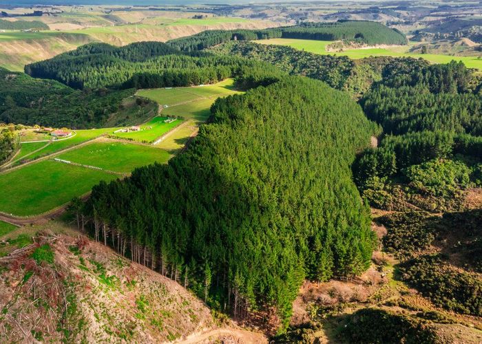  at Glencroft Forests 1, 2 & 3, Brunswick, Whanganui, Manawatu / Whanganui