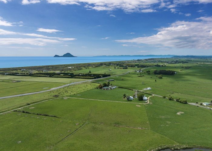  at 24 Smith Road, Matata, Whakatane, Bay Of Plenty