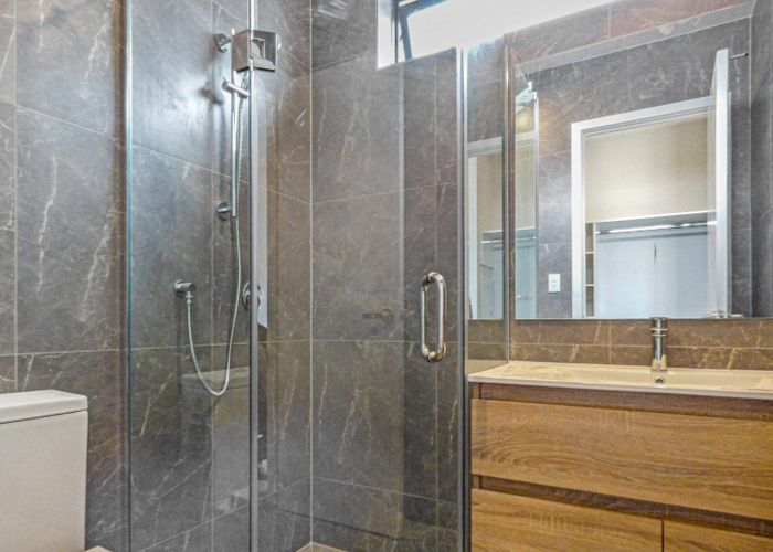  at 102/98 Haverstock Road, Sandringham, Auckland City, Auckland