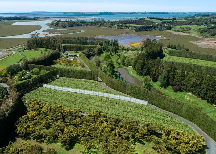  at 12 Sargent Drive, Whakamarama, Western Bay Of Plenty, Bay Of Plenty