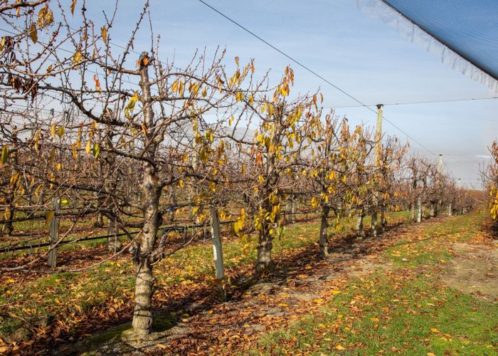  at Smiths Way, Cromwell, Central Otago, Otago