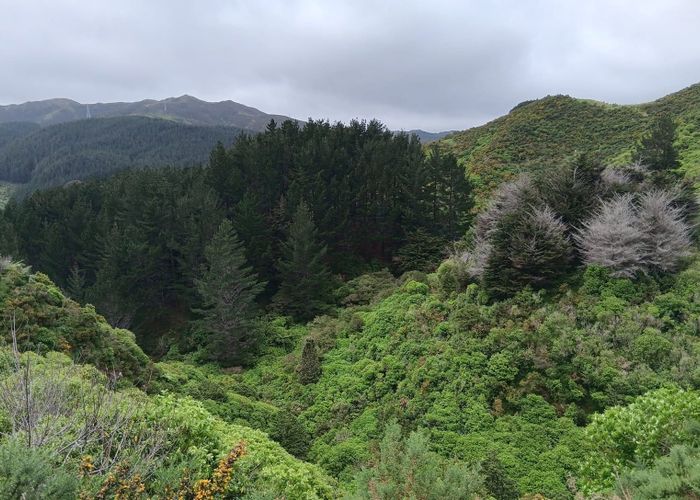  at 741 Makara Road, Makara-Ohariu, Wellington, Wellington