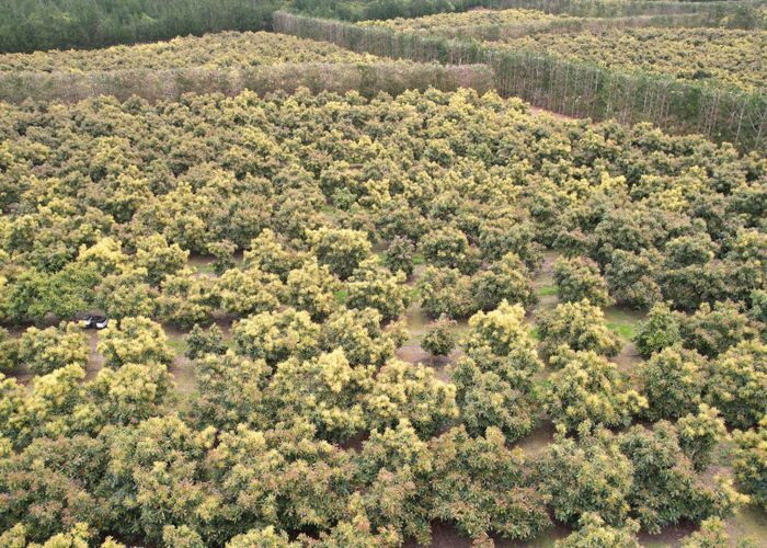 For sale 156 Mcmanus Road, Houhora, Far North, Northland homes.co.nz