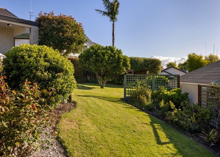  at 6 Bethlehem Heights, Bethlehem, Tauranga