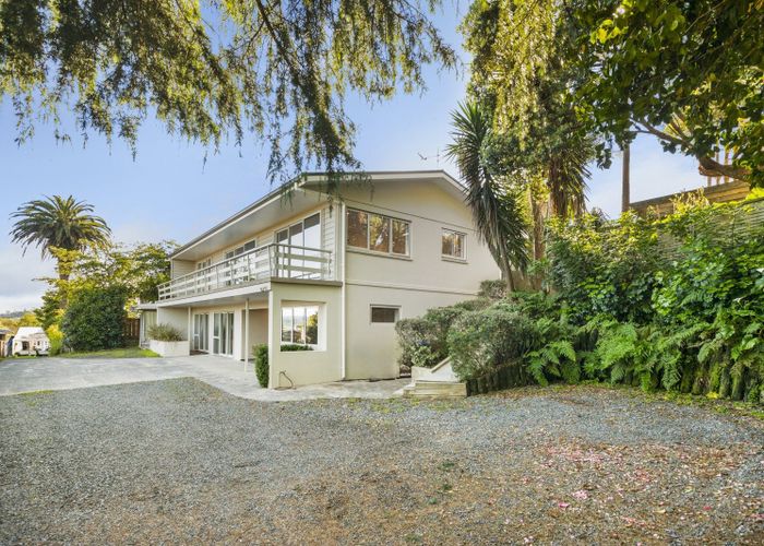  at 67 Fifteenth Avenue, Avenues, Tauranga, Bay Of Plenty