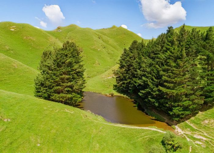  at Mangaraupiu Road, Eketahuna, Tararua, Manawatu / Whanganui