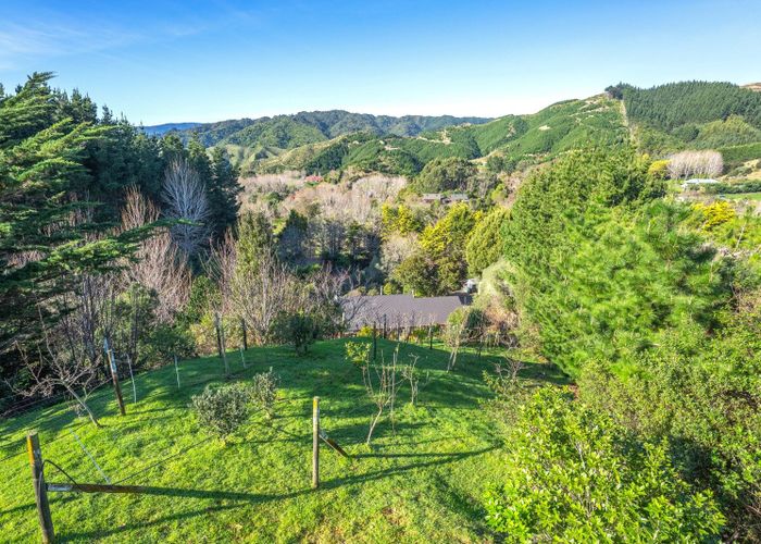  at 117 Nikau Palm Road, Paraparaumu, Kapiti Coast, Wellington