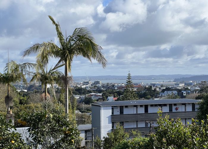  at 11 Lovelock Avenue, Mount Eden, Auckland City, Auckland