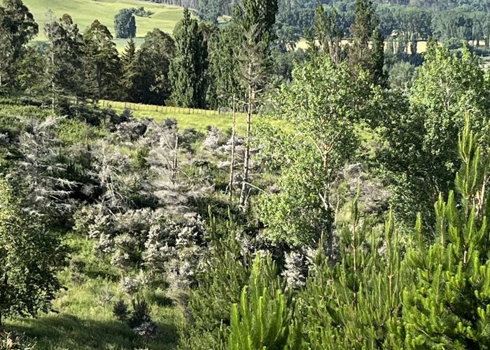  at Lot 2, DP 524856, Raratu Road, Kahuranaki, Hastings, Hawke's Bay