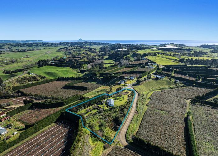  at 501 Paerata Ridge Road, Waiotahi, Opotiki, Bay Of Plenty