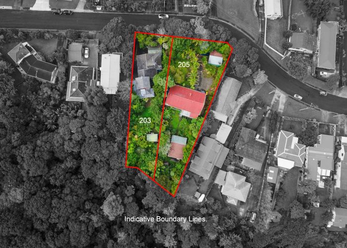  at 203 & 205 Manuka Road, Bayview, North Shore City, Auckland