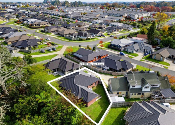  at 239D Dixon Road, Fitzroy, Hamilton