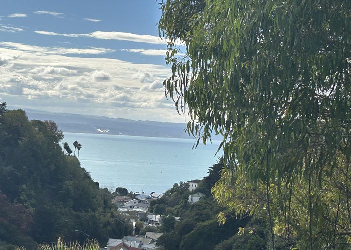  at 13 Fitzroy Road, Bluff Hill, Napier, Hawke's Bay
