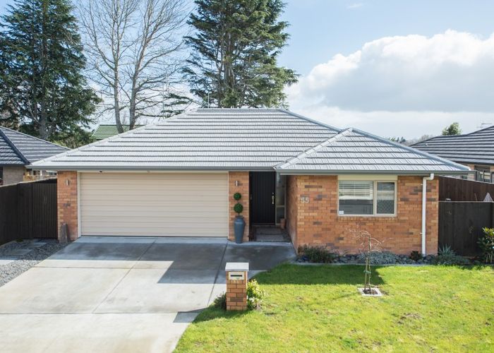  at 55 Tupelo Street, Pukete, Hamilton