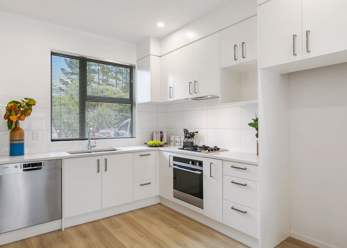  at 16 Ti Kouka Lane, Sandringham, Auckland