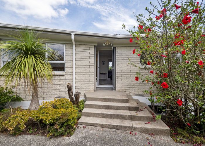  at 18 Taratoa Street, Parkvale, Tauranga