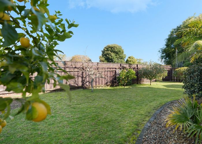  at 117A Ranch Road, Mount Maunganui, Mount Maunganui