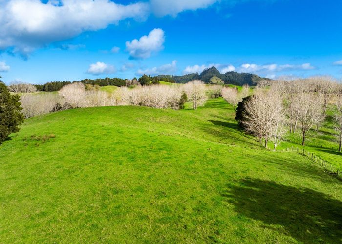  at Lot 4 Tauraroa Road, Maungakaramea, Whangarei, Northland