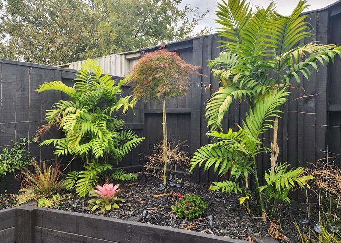  at 10B Huria Vista, Pyes Pa, Tauranga, Bay Of Plenty