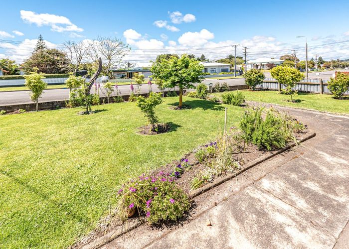  at 31 Gonville Avenue, Gonville, Whanganui